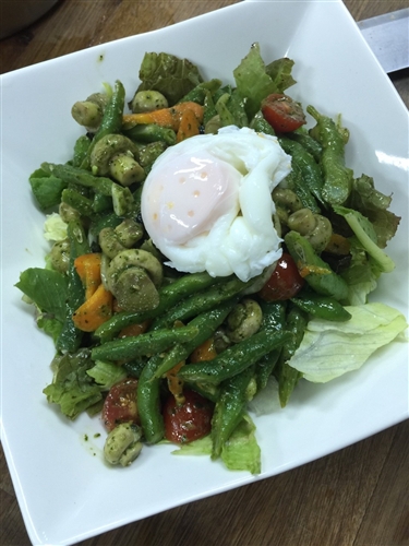 住宿學院【生態環境】主題活動-「大家來做有機沙拉」