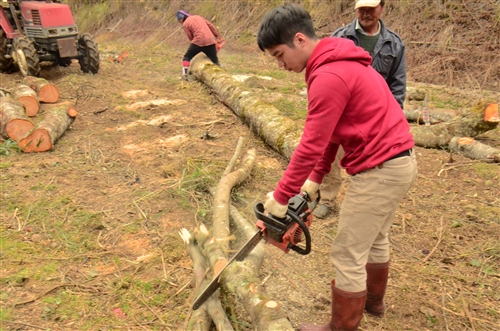 本校部落服務隊畢旅走進鎮西堡。