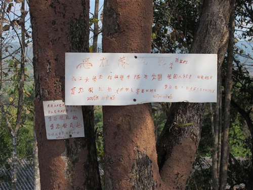 學務處遠赴泰國進行「愛在撒瓦地-Huei Nan Sai華語教學計畫」。