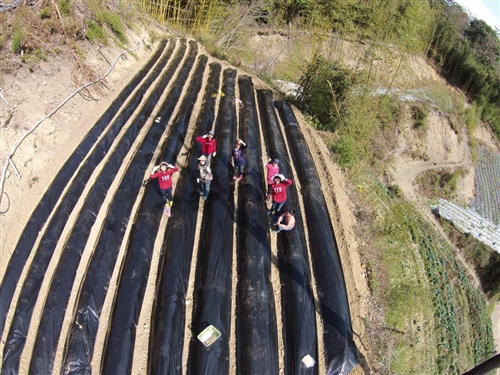 本校部落服務隊畢旅走進鎮西堡。