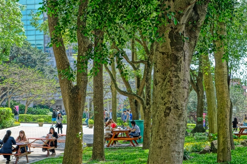 商管大樓北側增設行人徒步區、科學館西北側新增停車位。