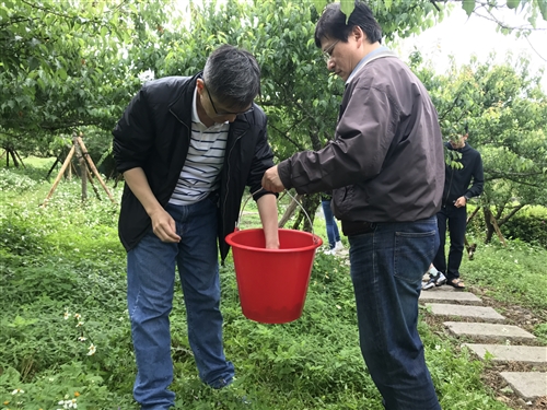 蘭陽校園全住宿書院【生態環境】主題活動-DIY有機紫蘇梅初體驗