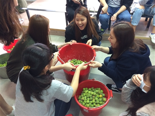 蘭陽校園全住宿書院【生態環境】主題活動-DIY有機紫蘇梅初體驗