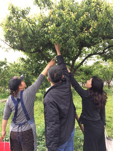 蘭陽校園全住宿書院【生態環境】主題活動-DIY有機紫蘇梅初體驗