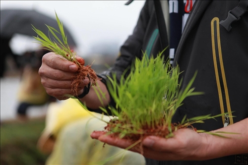 大傳系用傳播力量分享美好事物