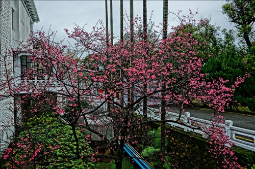 「2017春之饗宴」校友年度盛會。