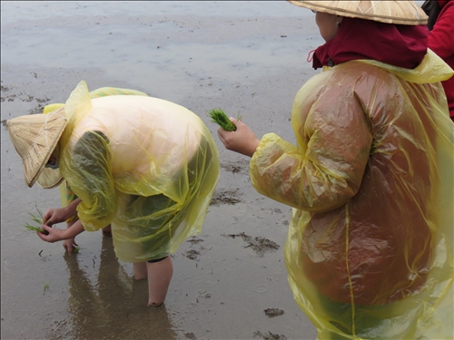 大傳系用傳播力量分享美好事物