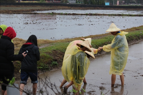 大傳系用傳播力量分享美好事物
