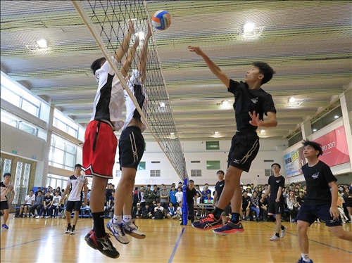 新生盃排球賽冠軍戰