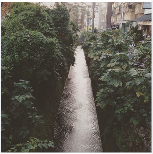 庄子內溪為流經淡江大學週邊的溪流