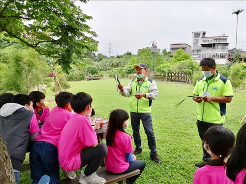 用葉子可以做甚麼？
