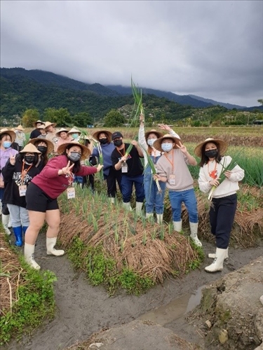 馬來西亞同學體驗拔蔥樂趣