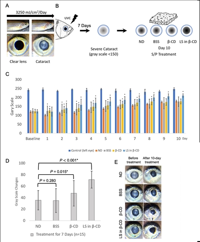 化學系研究白內障