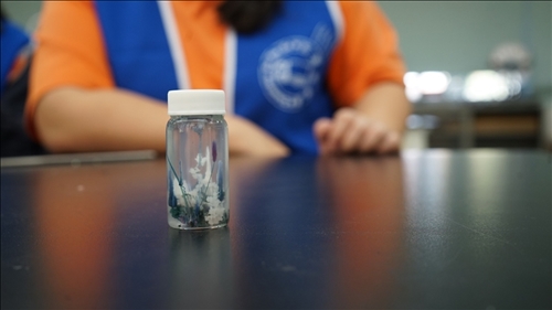 非常特別的海底花園成品