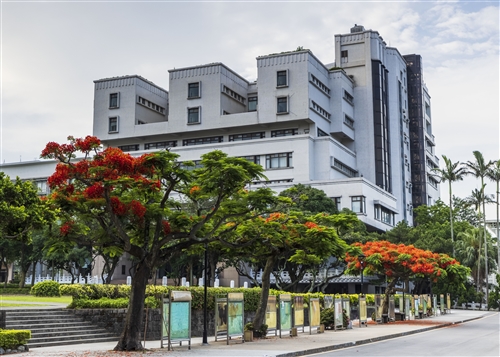 海報街鳳凰花02