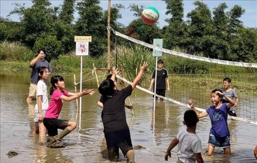 水梯田排球賽