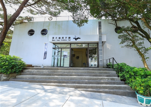 海事博物館-07(黑天鵝)