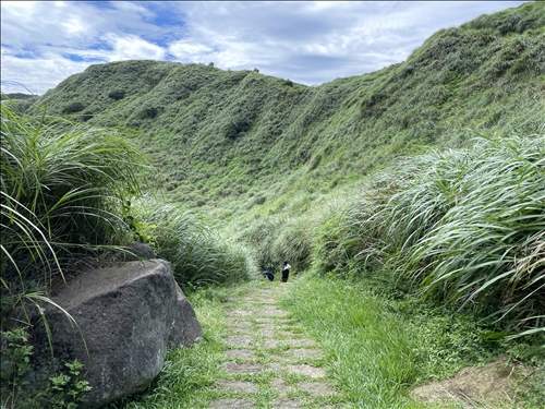 魚路古道為又稱為金包里大道，二個端點皆可由公車抵達，可及性高，是北台灣最佳調查古道場域之一