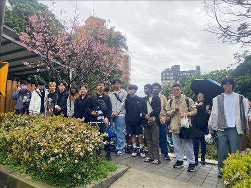 櫻花樹下即景合影