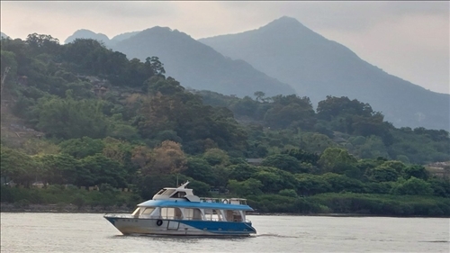 活動中淡水河景象