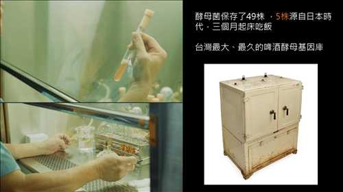 台北啤酒工廠（建國啤酒廠）擁有啤酒製造工業的重要酵母菌基因庫