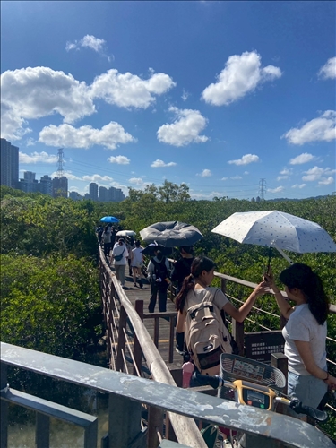 紅樹林步道生態導覽