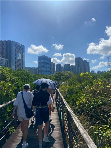 紅樹林步道生態導覽