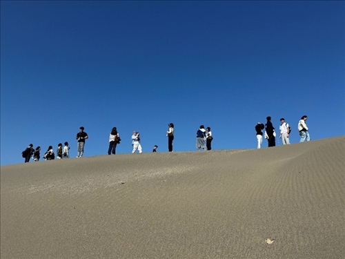 大家徜徉在草漯沙丘之中