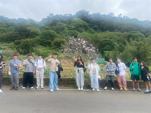 分組團拍