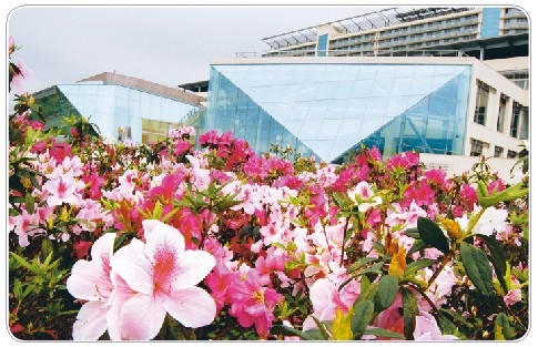 挖寶聖地--蘭陽校園祕笈