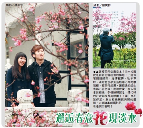 邂逅春意 　花現淡水