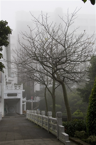 淡江霧景-01