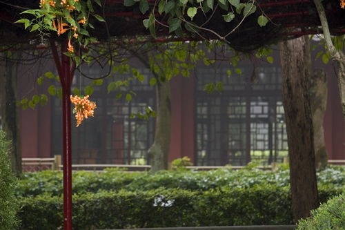 宮燈教室及周邊景象-07