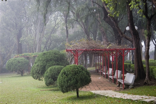宮燈教室及周邊景象-09