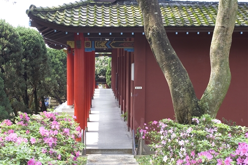 宮燈教室及周邊景象-13