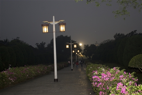 宮燈教室及周邊景象-14