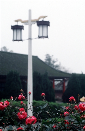 宮燈教室及周邊景象-18