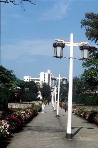 宮燈教室及周邊景象-23