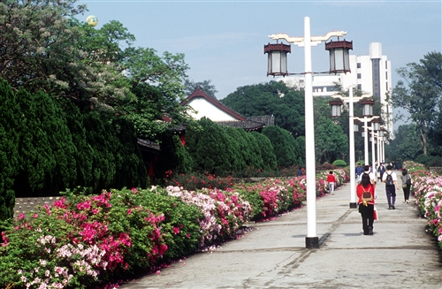 宮燈教室及周邊景象-24