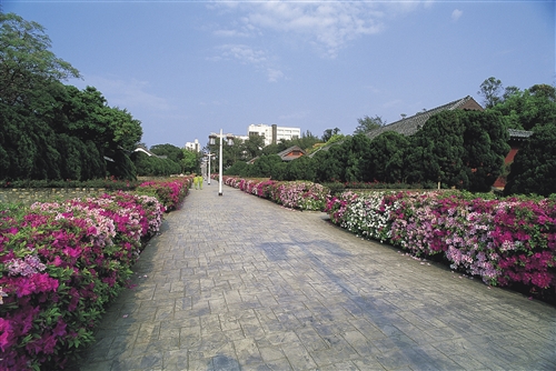 宮燈教室及周邊景象-35