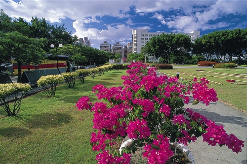 蛋捲書卷廣場-09